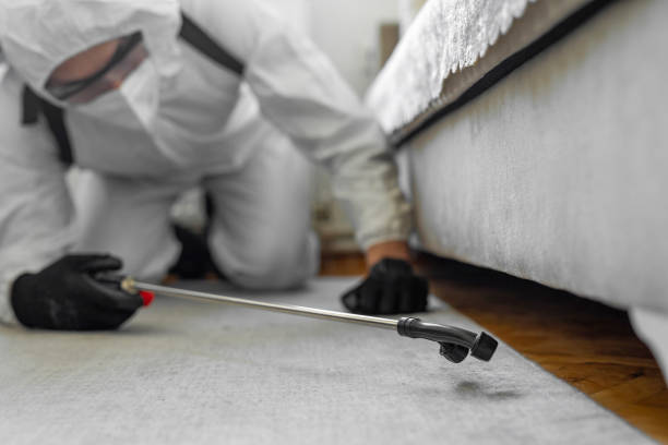 Professional Termite Control technician working in Dyer, IN