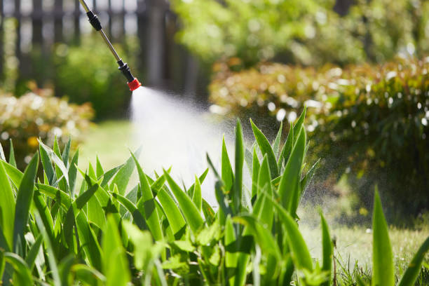 24/7 Emergency Termite Control experts in Dyer, IN