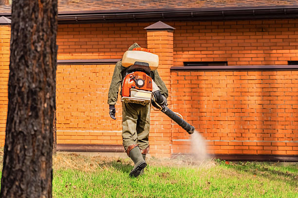 Top rated local Termite Control specialists in Dyer, IN